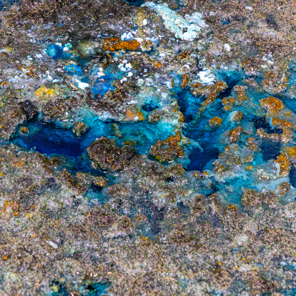 Colors of Walls – Fotografie 15
