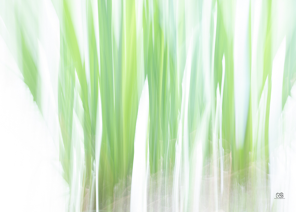 Abstraktionen – Fotografie 1