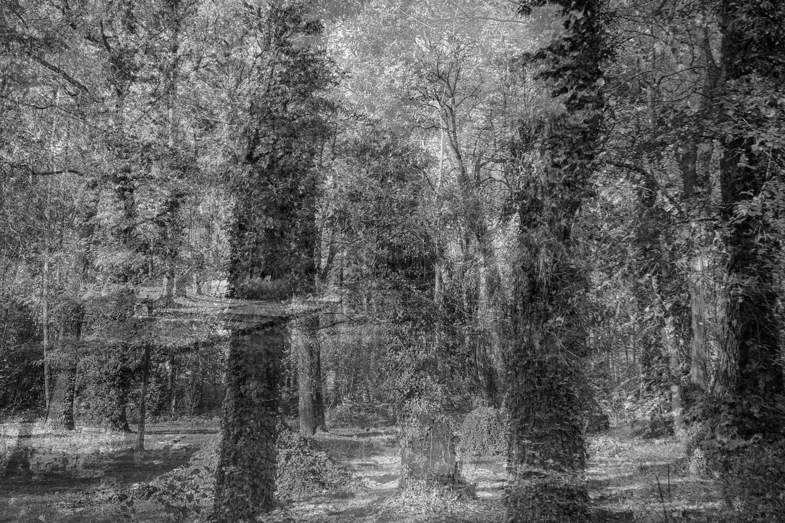 Abstraktionen – Fotografie 31