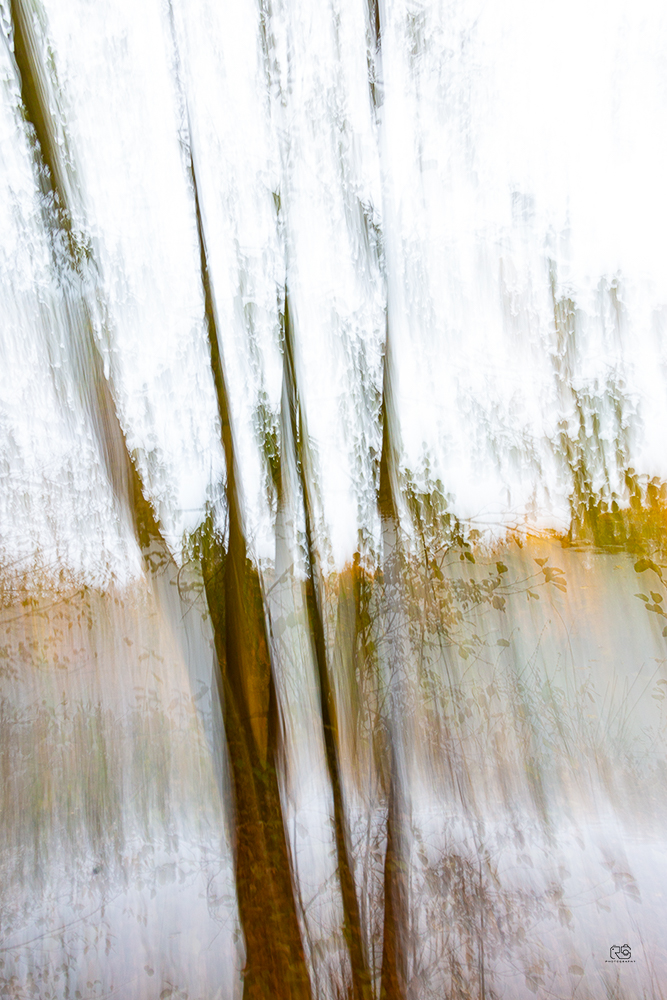Abstraktionen – Fotografie 4