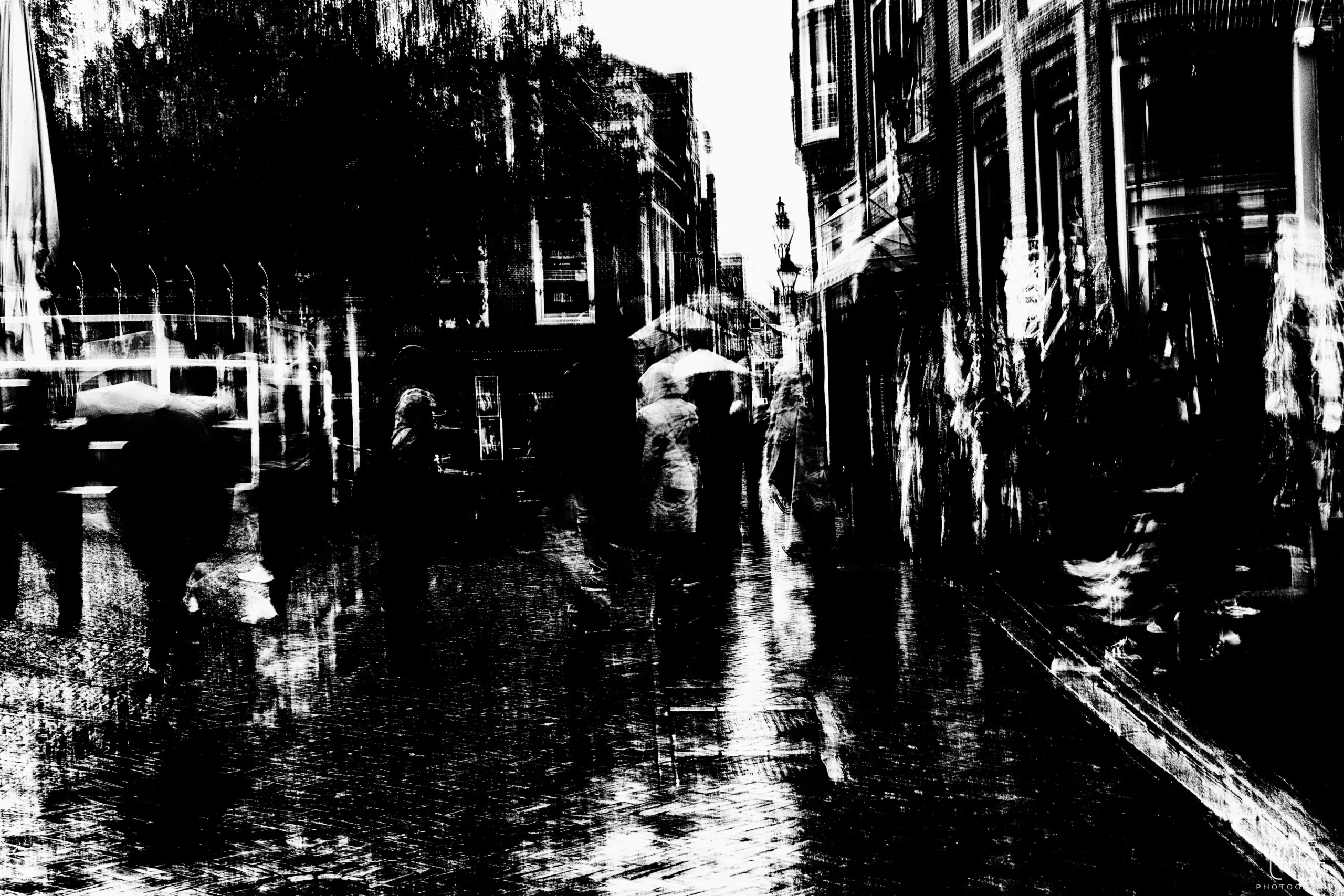 Holland 2025 – Fotografie 16
