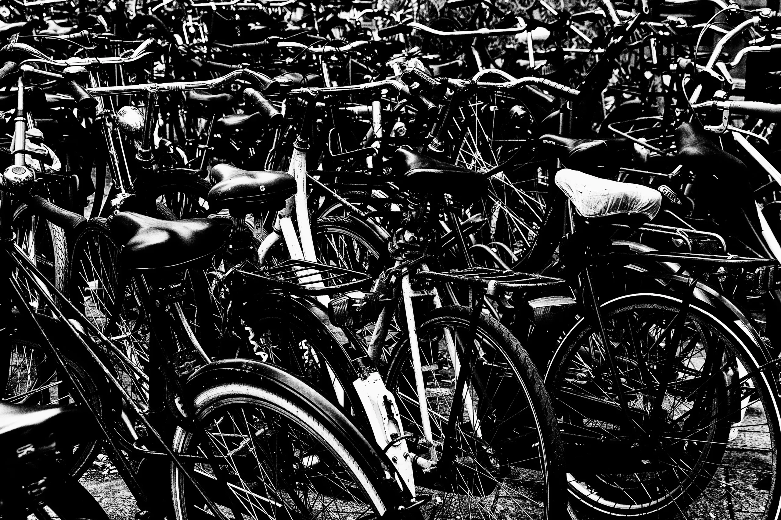 Holland 2025 – Fotografie 2