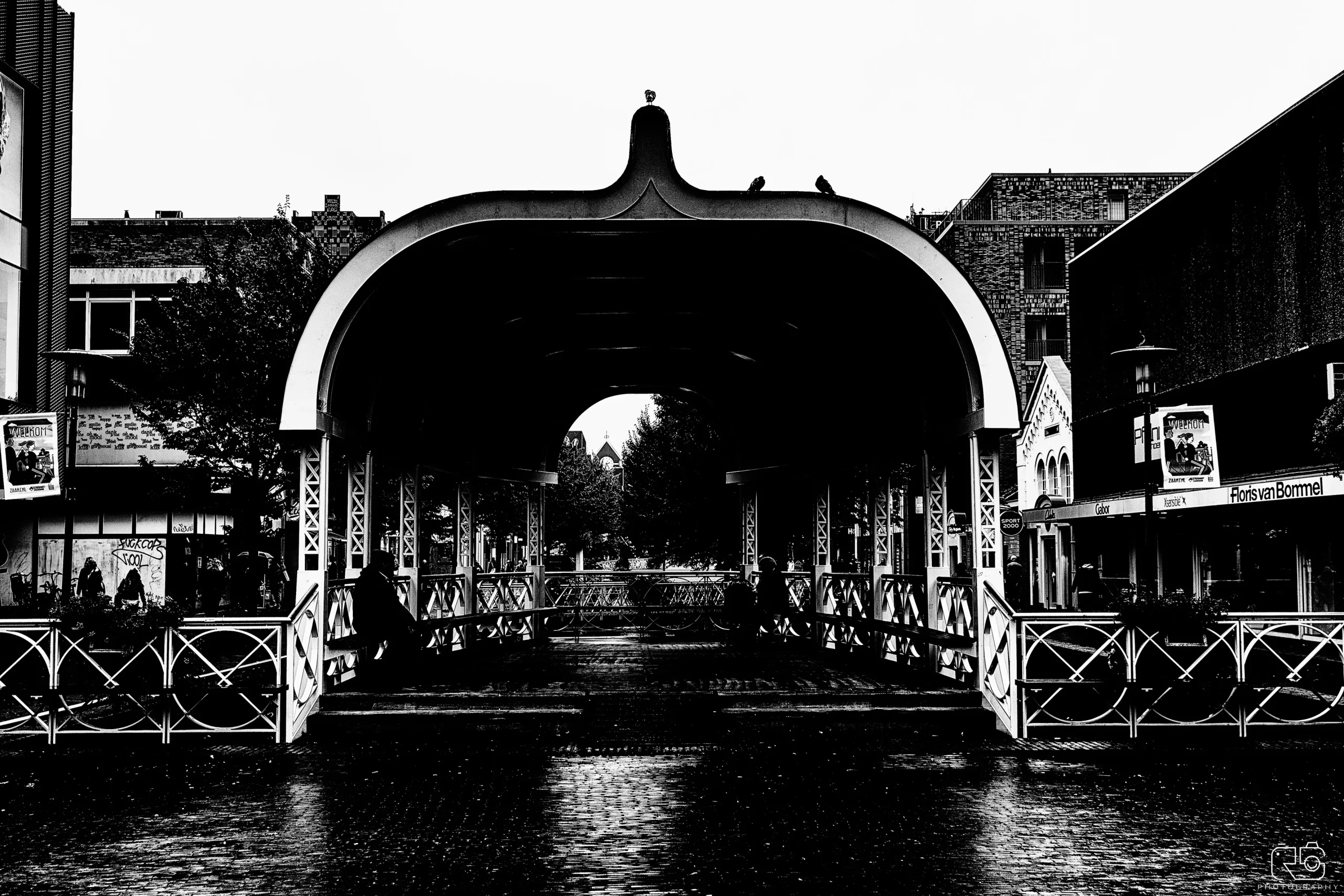 Holland 2025 – Fotografie 23