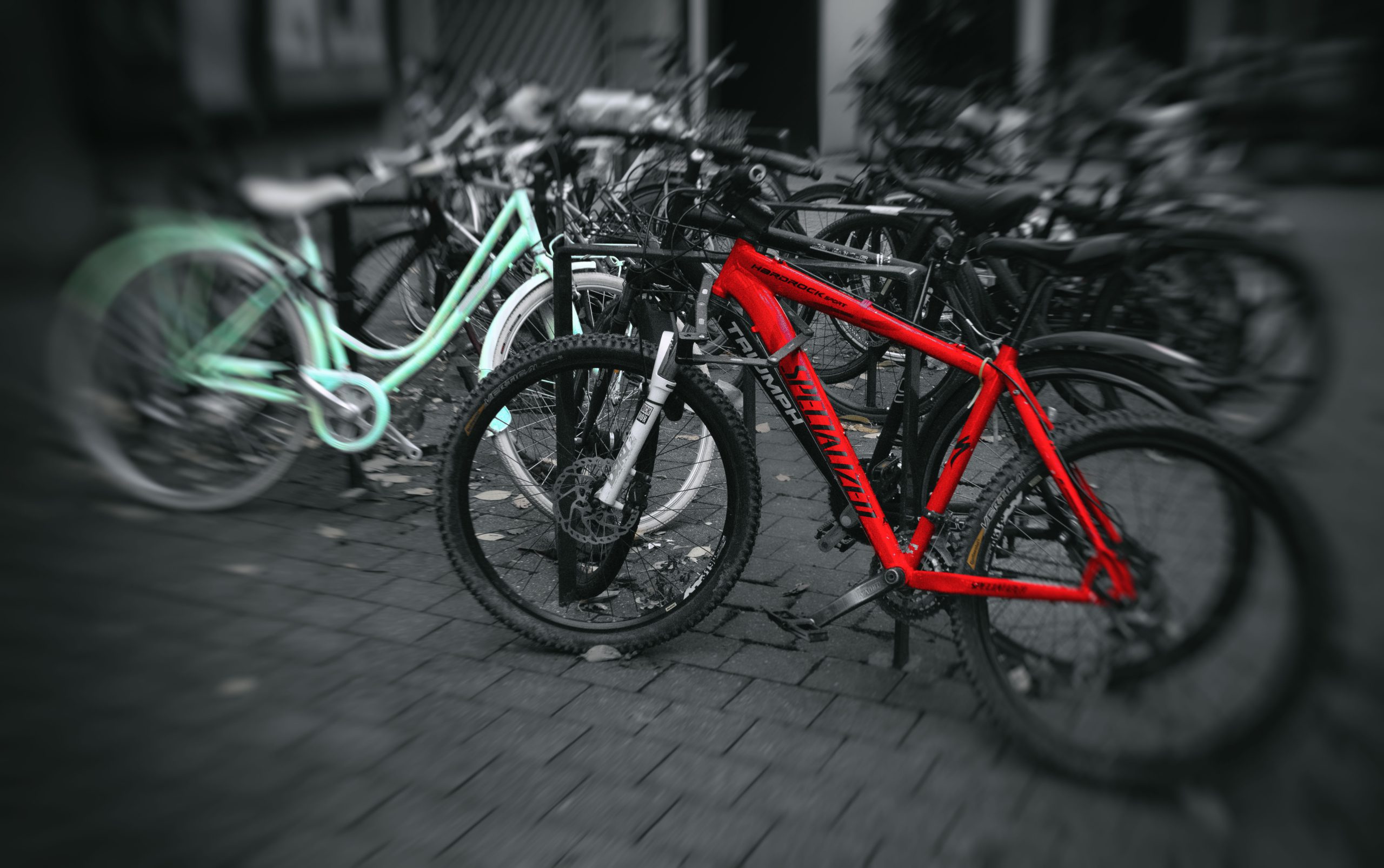 bicycles – Fotografie 11