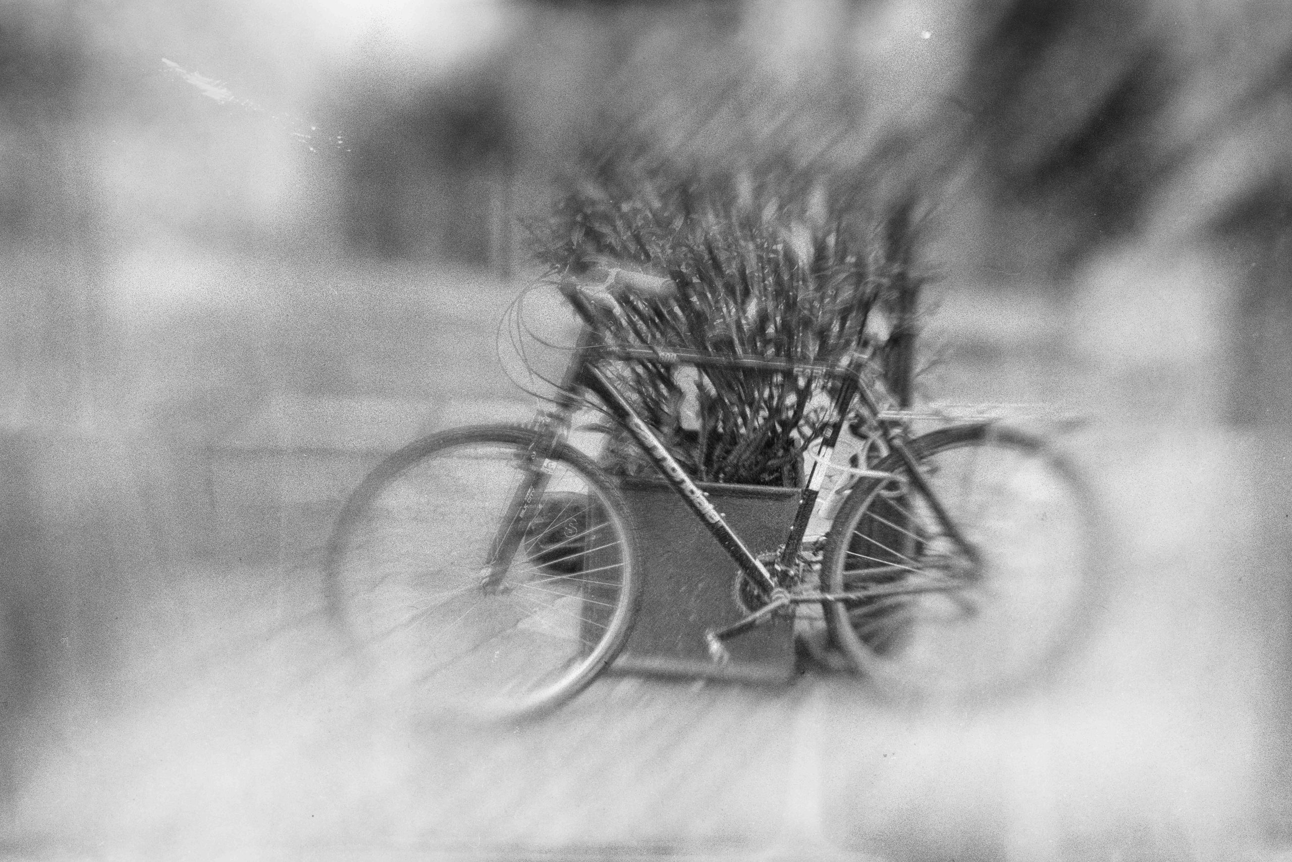 bicycles – Fotografie 13