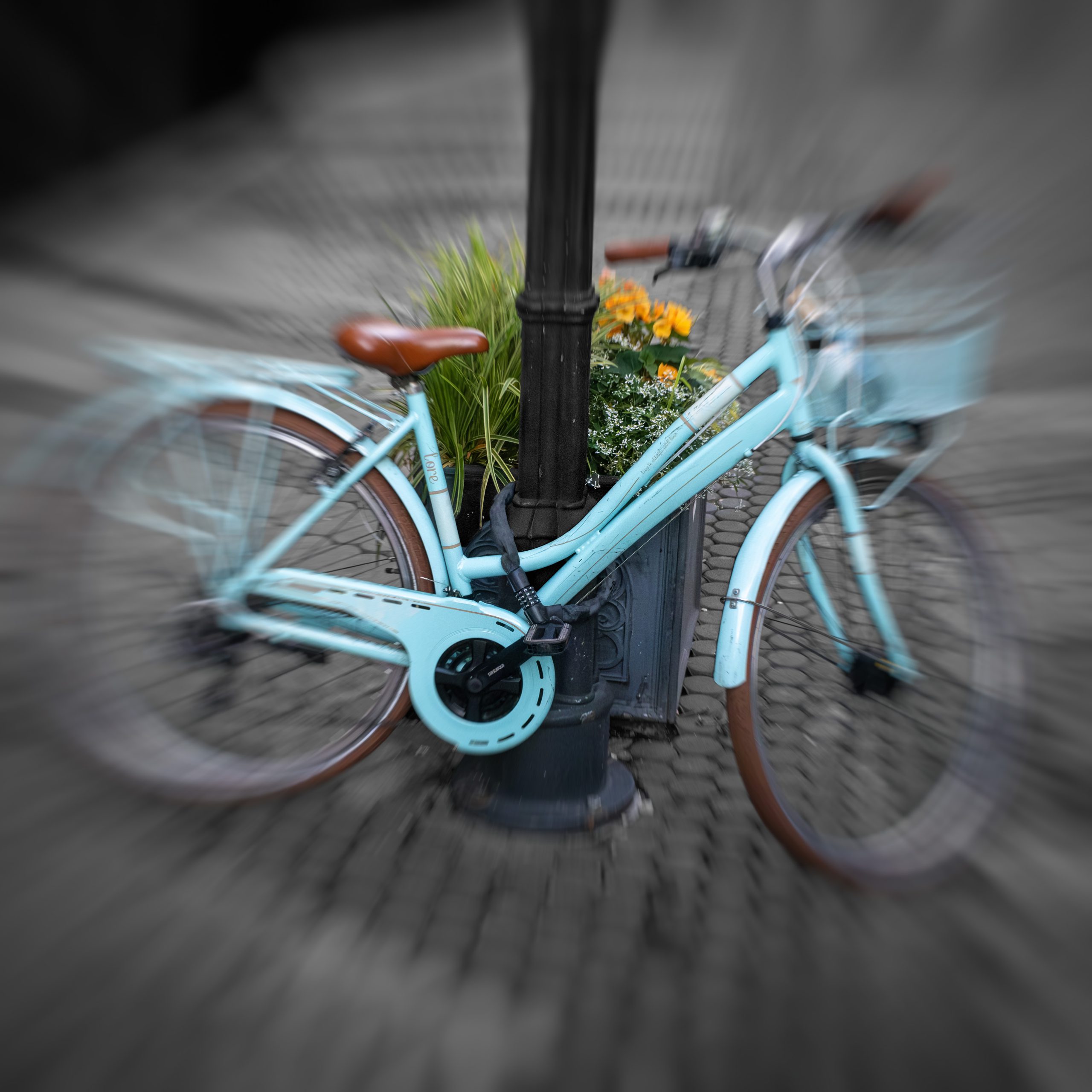 bicycles – Fotografie 14