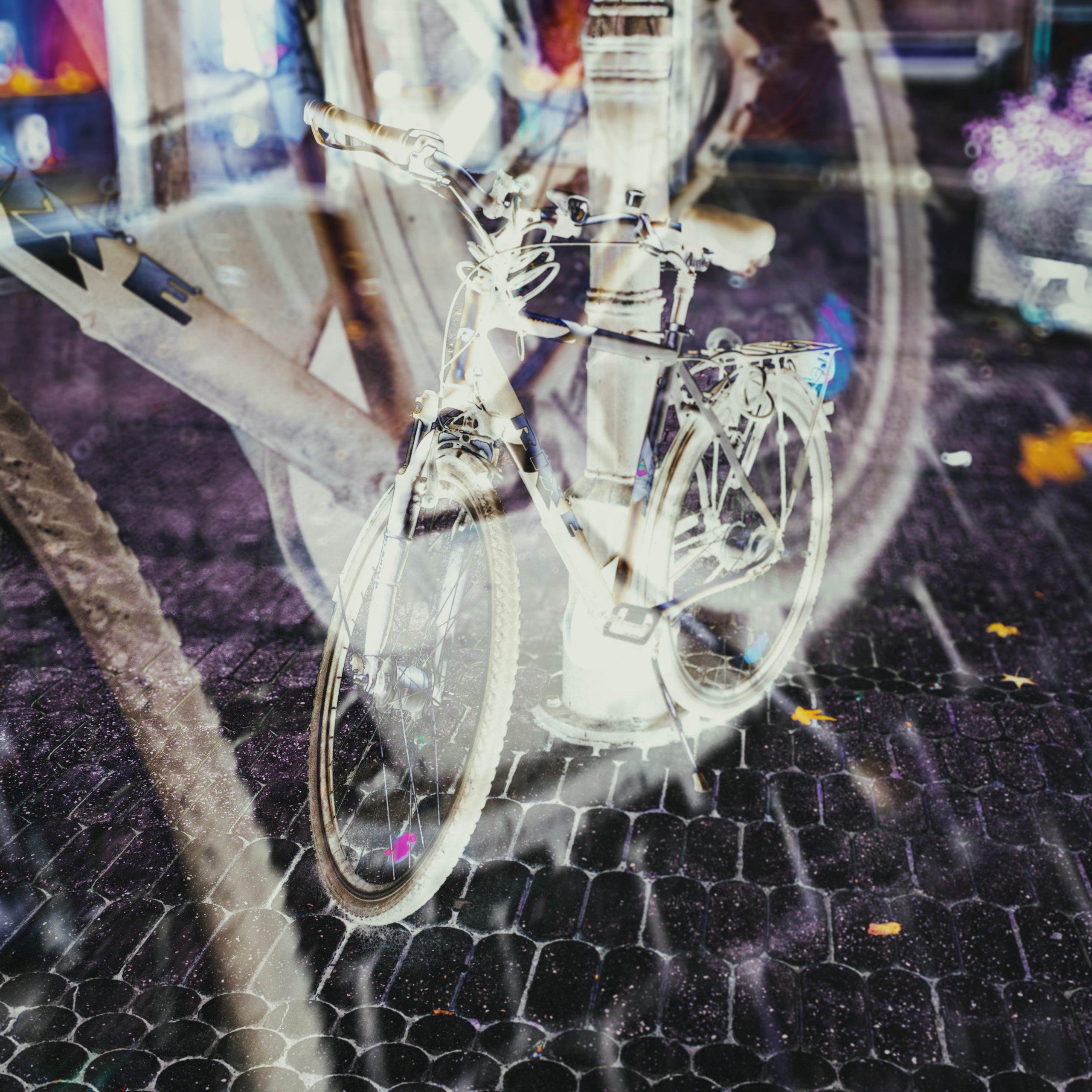 bicycles – Fotografie 2