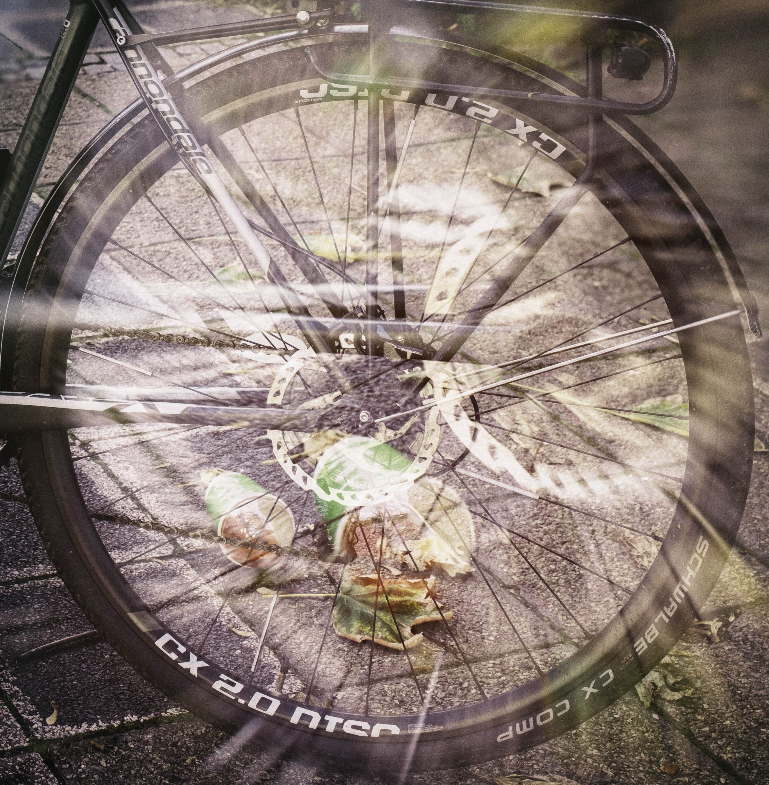 bicycles – Fotografie 5