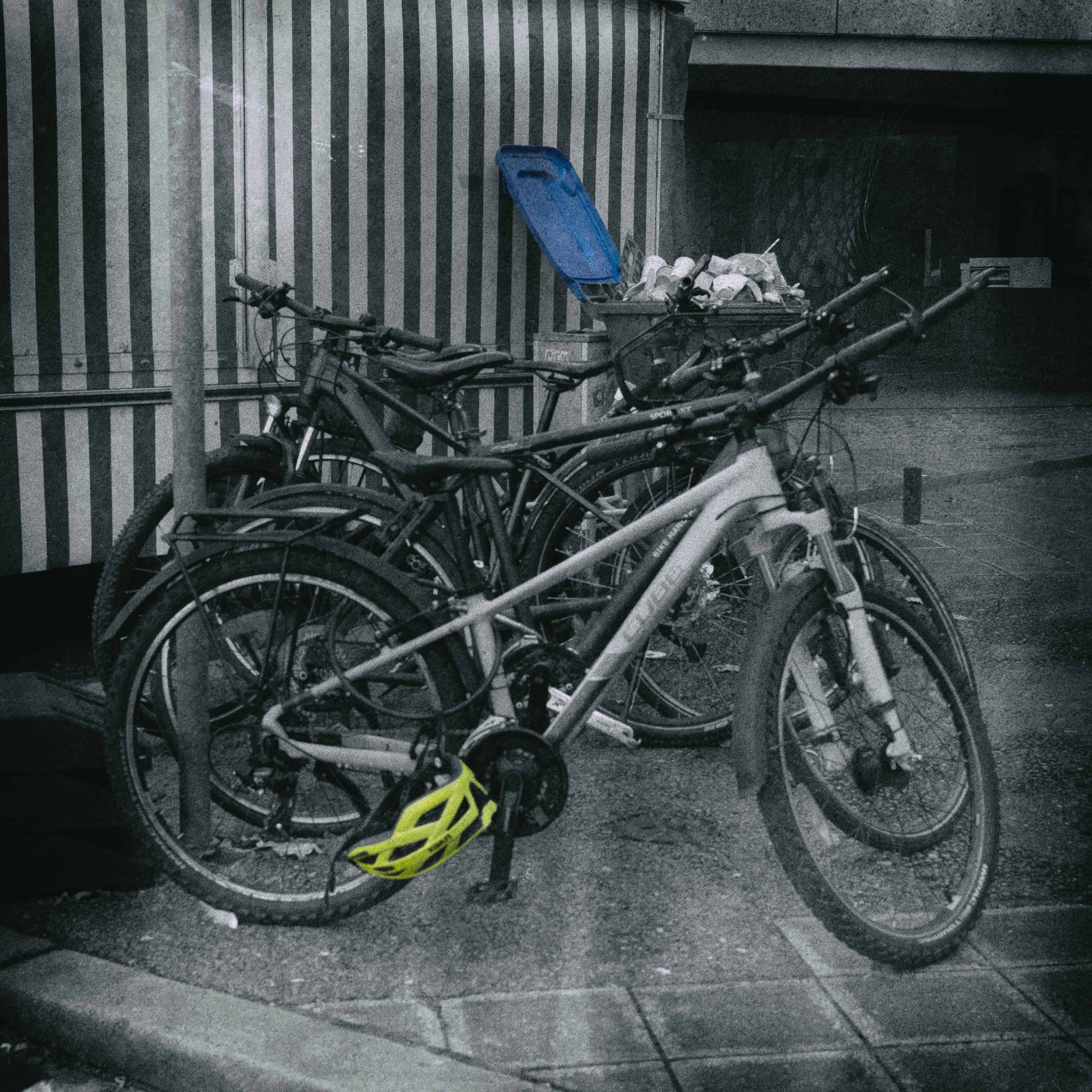 bicycles – Fotografie 6