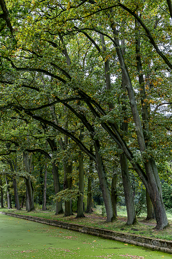 Usedom 2024 – Fotografie 17