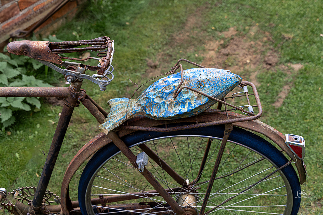Usedom 2024 – Fotografie 24